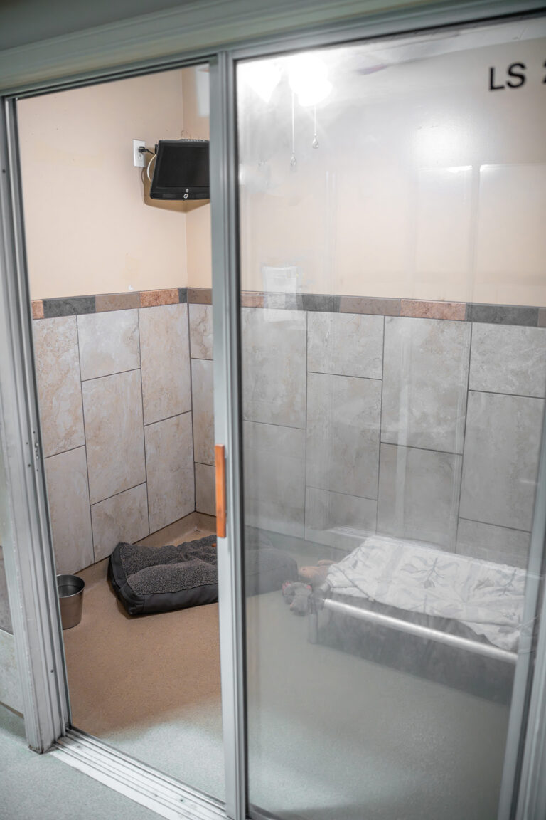 luxury_suite