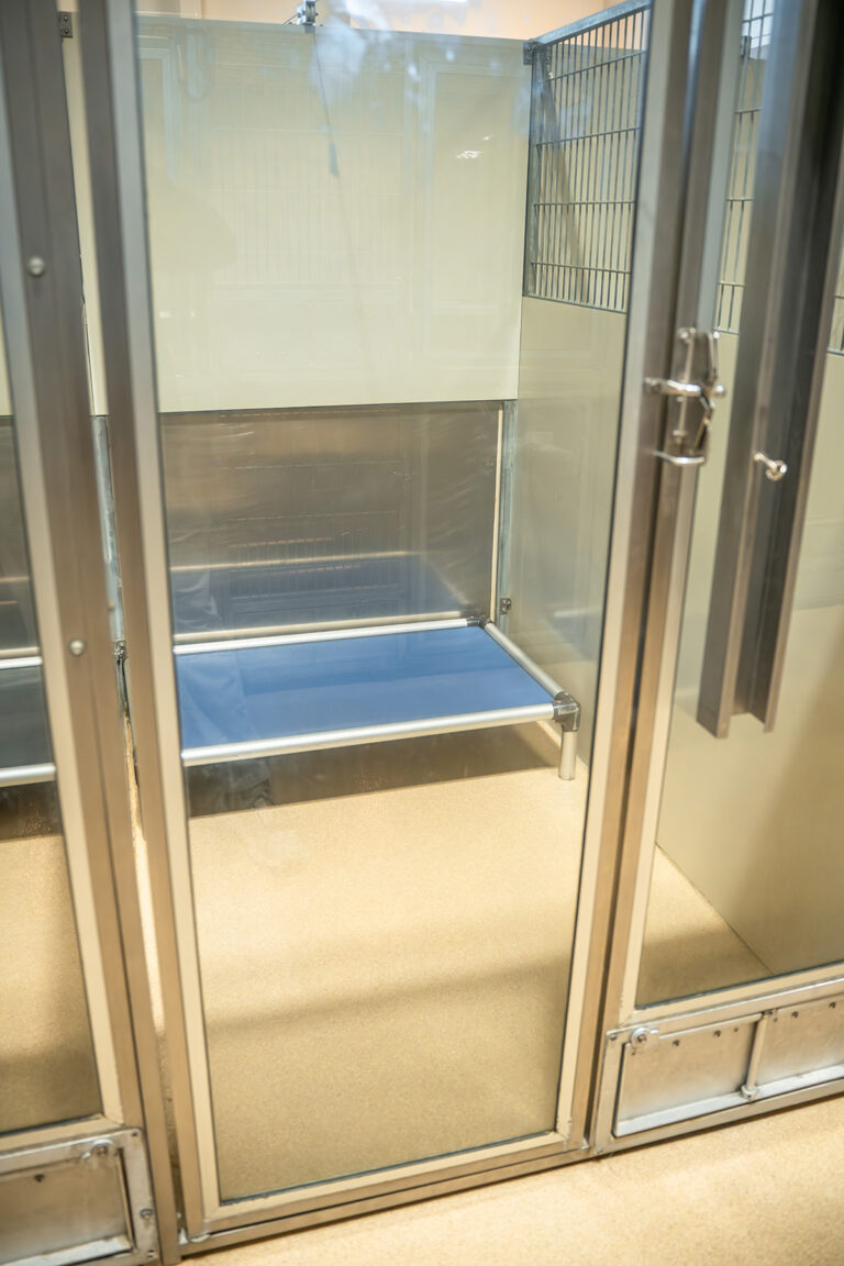 standard_plus_suite