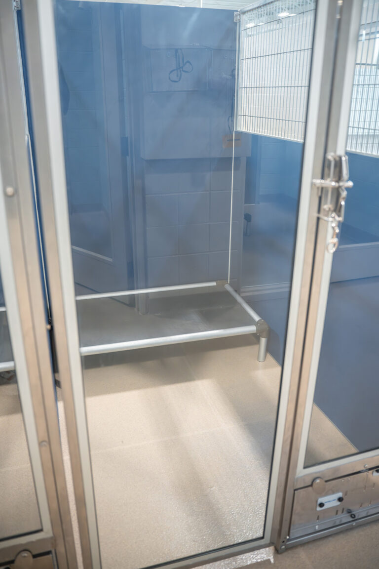 standard-suite
